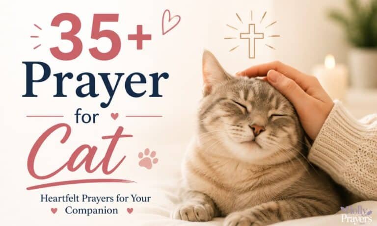 35+ Prayer for Cat Heartfelt Prayers for Your Companion