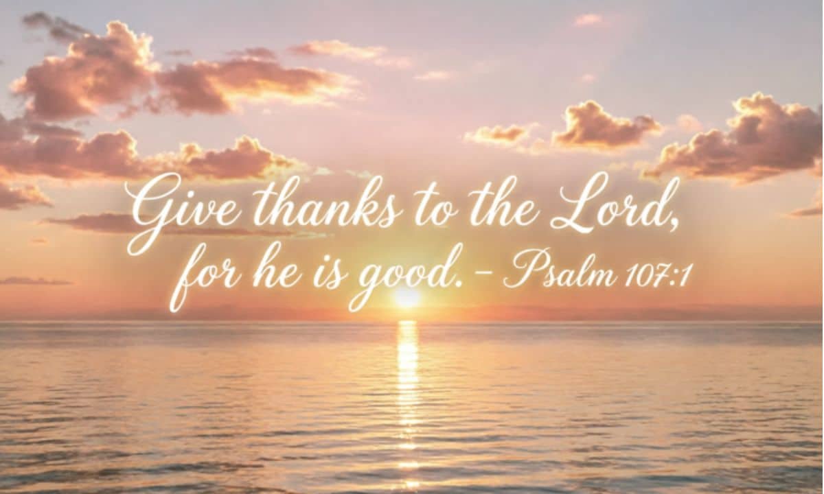 Bible Verses About Gratitude and Thankfulness